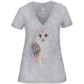 Rainbow Owl Womens V-neck