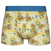 Looney Tunes Mens Fitted Trunks - TWEETY