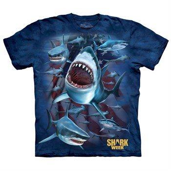 Shark Country t-shirt