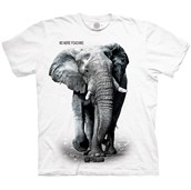 ELEPHANT NO POACHING Adult T-shirt, Large