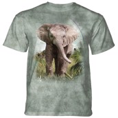 Baby Elephant T-shirt