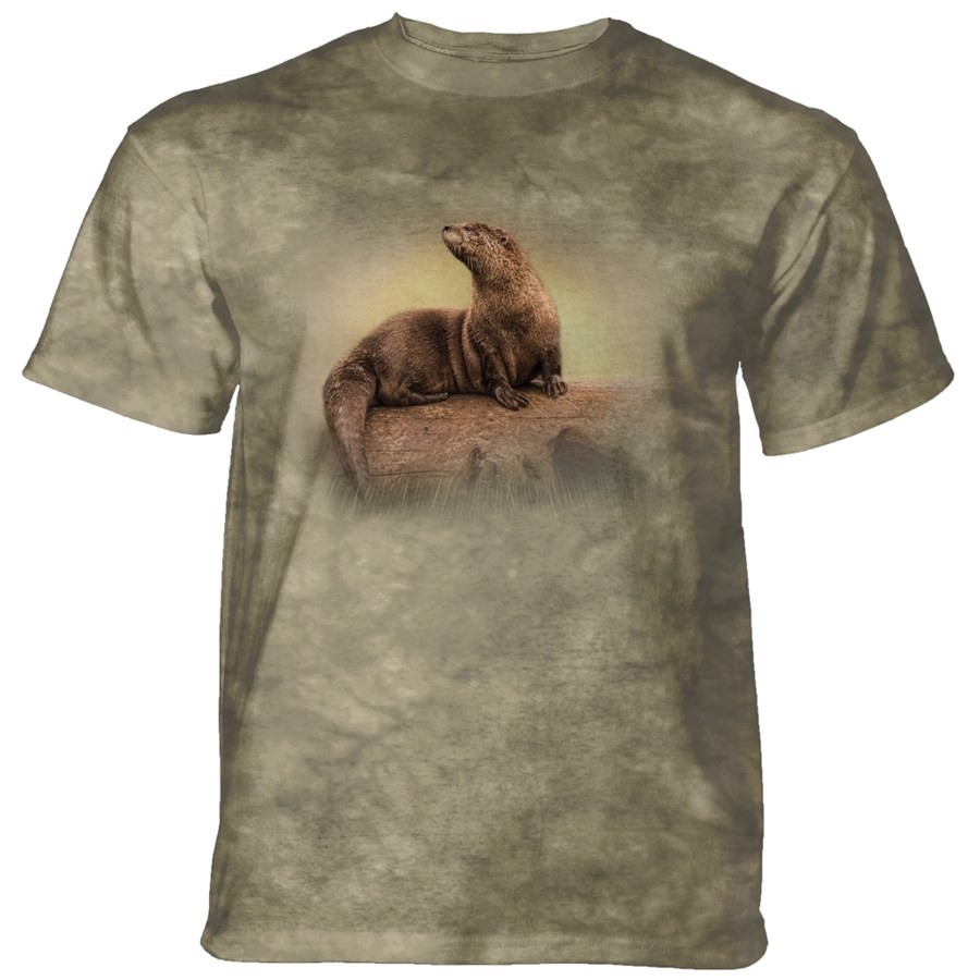 Taking In The View T-shirt, Adult Large