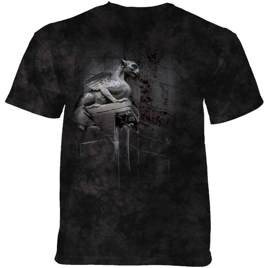 The Stone Guardian T-shirt Adult, Small