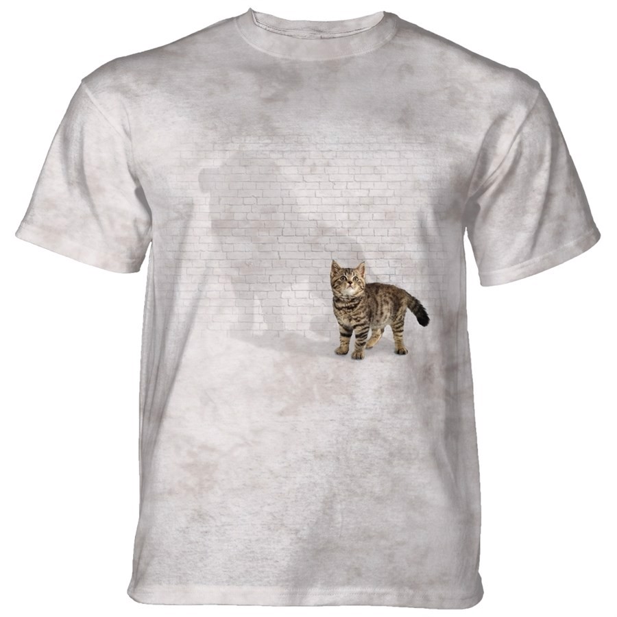 Shadow Of Power T-shirt, Grå