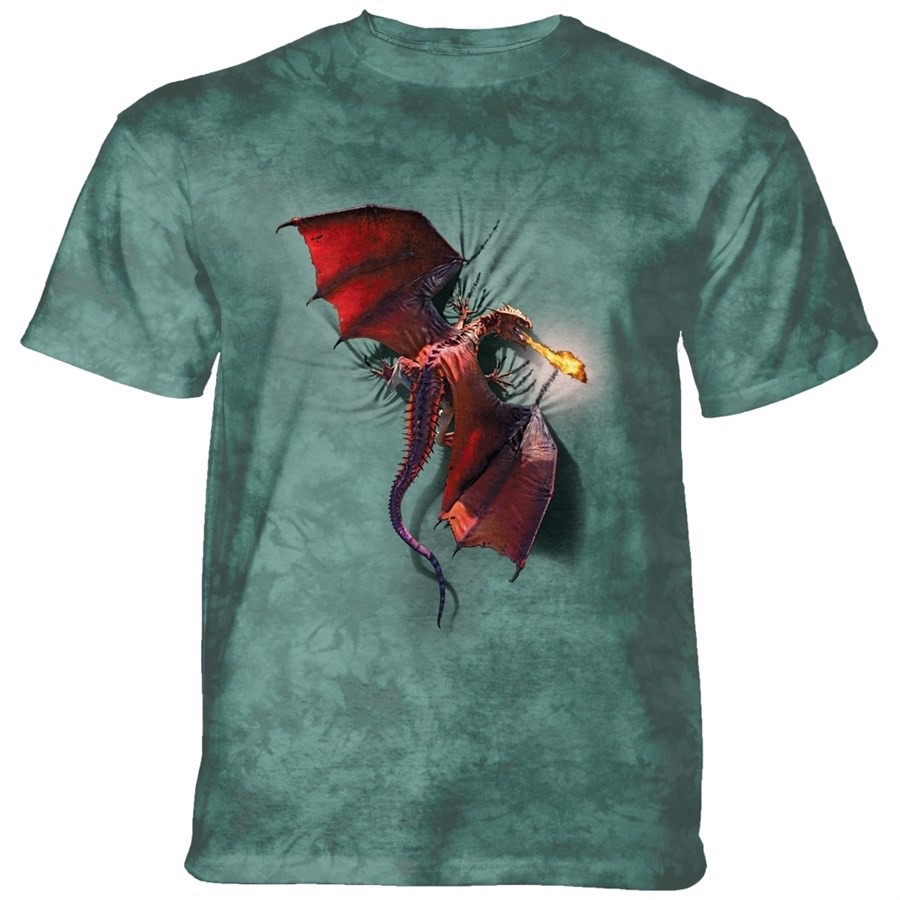 Climbing Dragon T-shirt, Adult Large