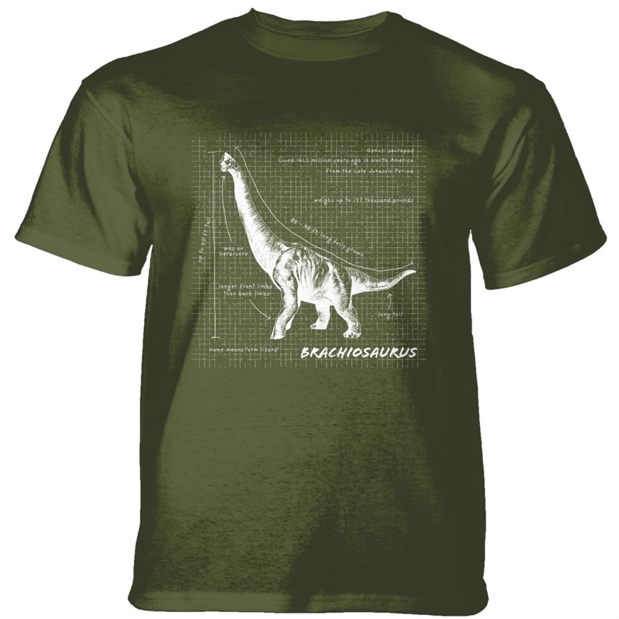 Brachiosaurus Fact Sheet T-shirt, Grøn, Adult 3XL
