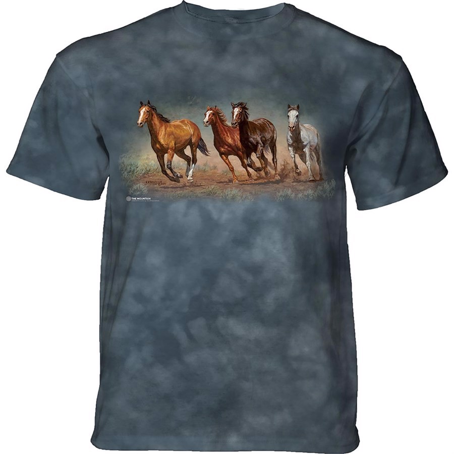 Fly Away Horses T-shirt, Child Medium