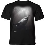 Sunburst Shark T-shirt