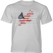 Eagle American Paint T-shirt, Grå