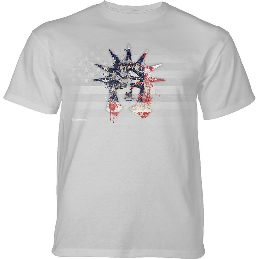 Statue of Liberty Paint T-shirt, Grå