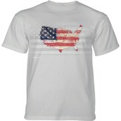Usa American Paint T-shirt, Grå