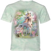 Enchanted Unicorn T-shirt, Large