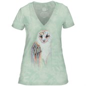 Rainbow Owl Womens V-neck