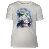 Painted Dolphin Mens Triblend T-shirt, Grey