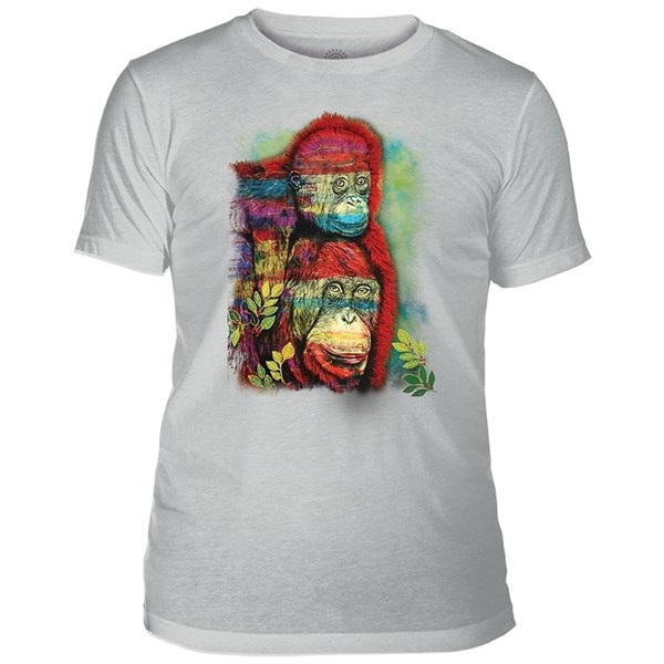 Painted Primates Mens Triblend T-shirt, Grey