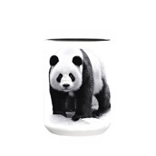 Panda Protect My Home Ceramic Mug