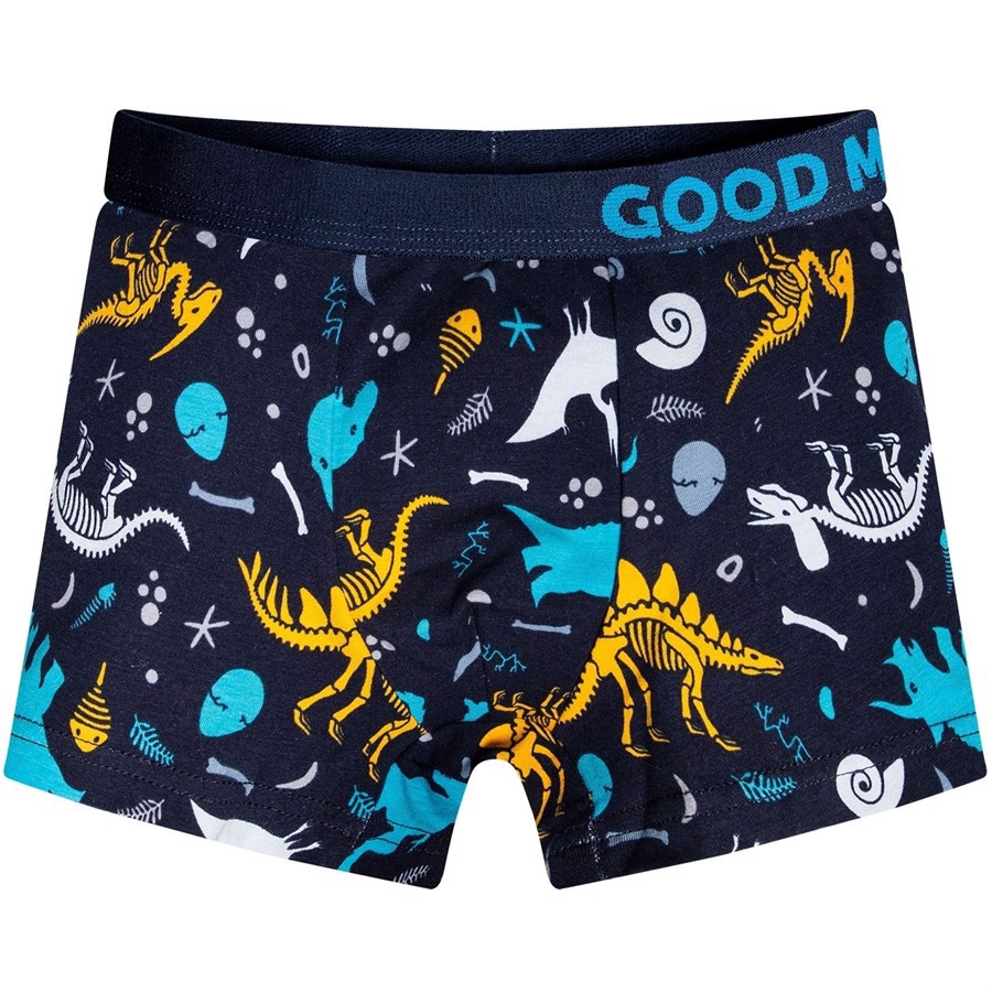 Good Mood Boys Fitted Trunks - DINOSAUR