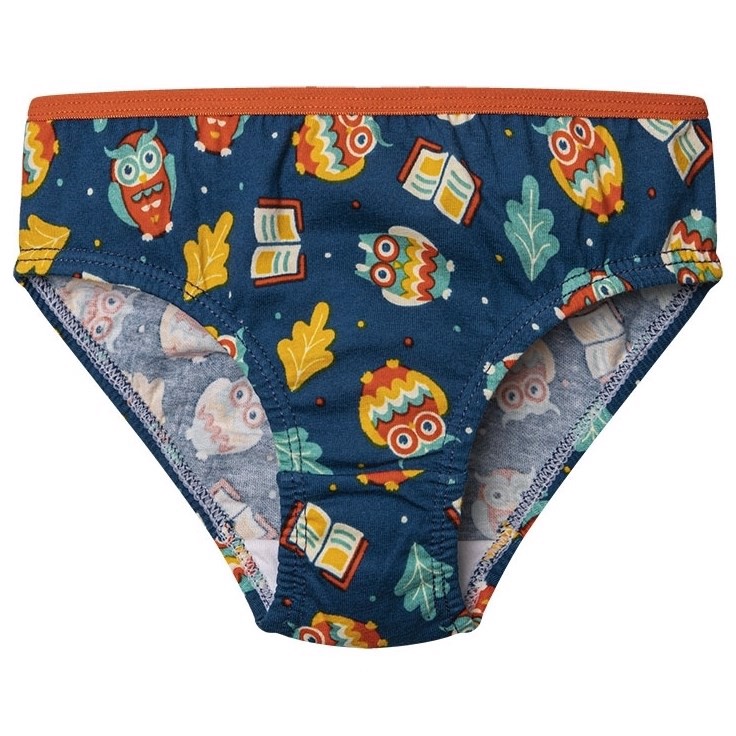 Good Mood Girls Briefs - WISE OWLS