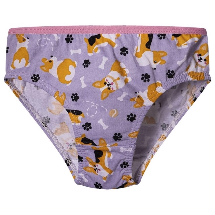 Good Mood Girls Briefs - CORGI DOG