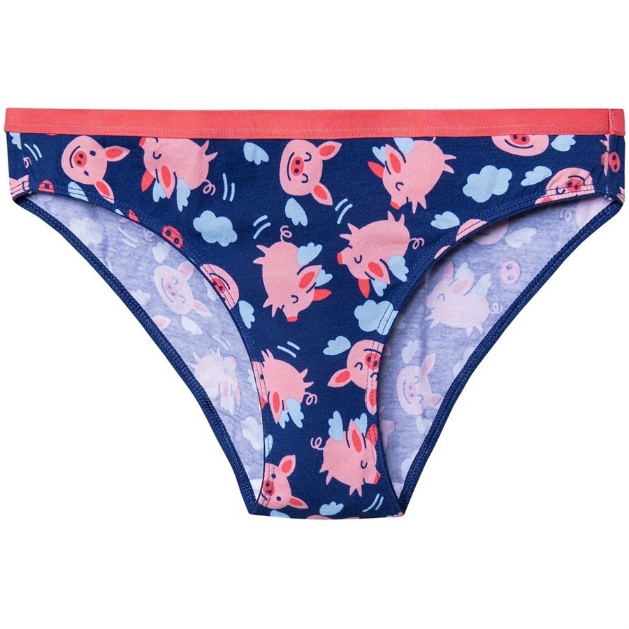 Good Mood Womens Briefs - FLYING PIGS, Small