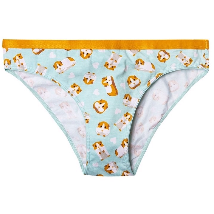 Good Mood Womens Briefs - GUINEA PIG