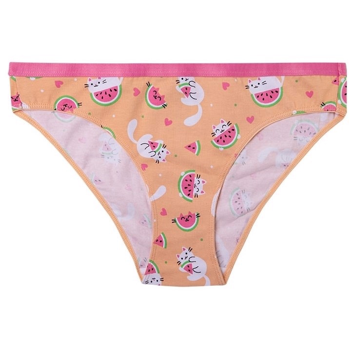 Good Mood Womens Briefs - WATERMELON CAT