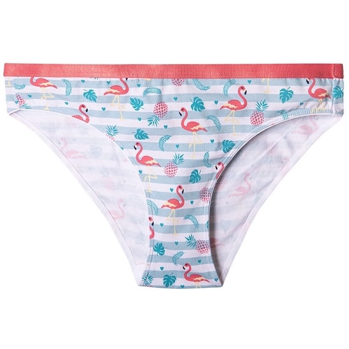Good Mood Womens Briefs - LOVE FLAMINGOS