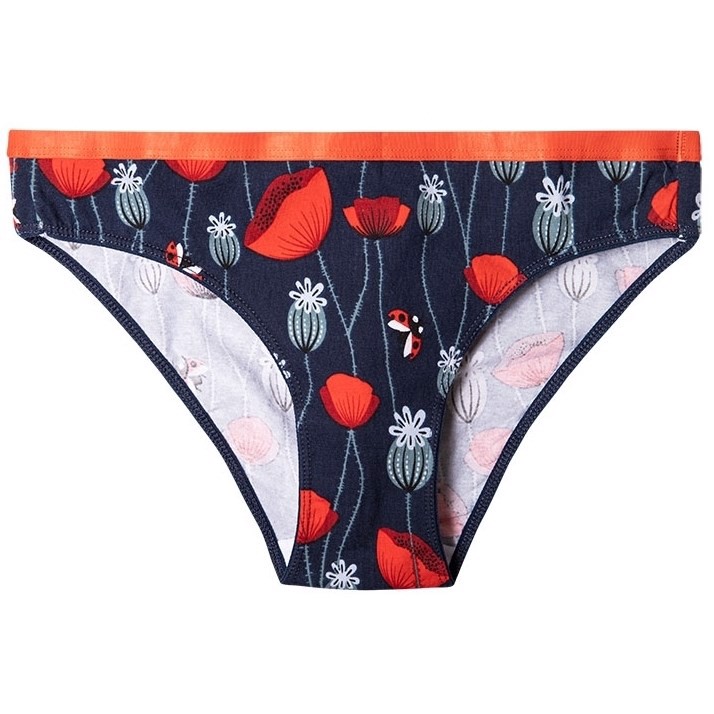 Good Mood Womens Briefs - LADYBUGS AND POPPY FLOWERS
