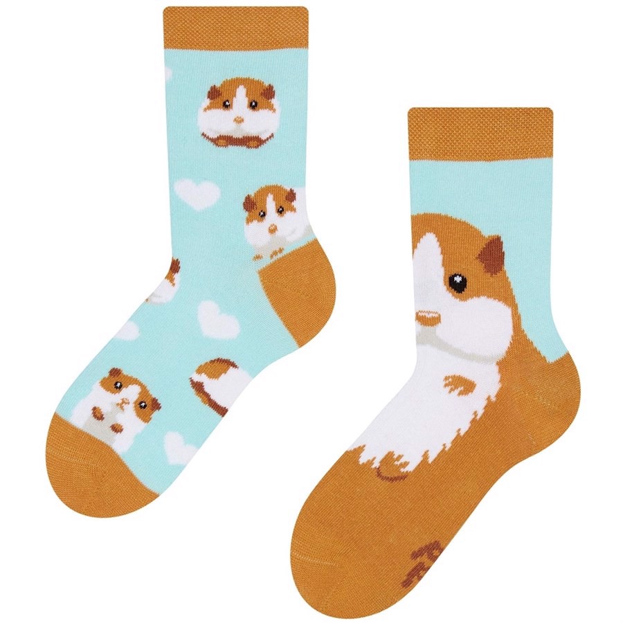 Good Mood kids socks - GUINEA PIG, size 23-26