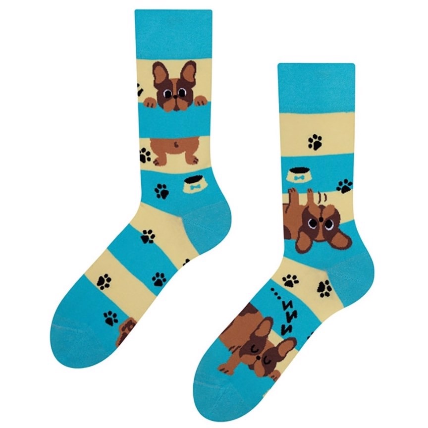 Good Mood adult socks - DOGS AND STRIPES, size 39-42