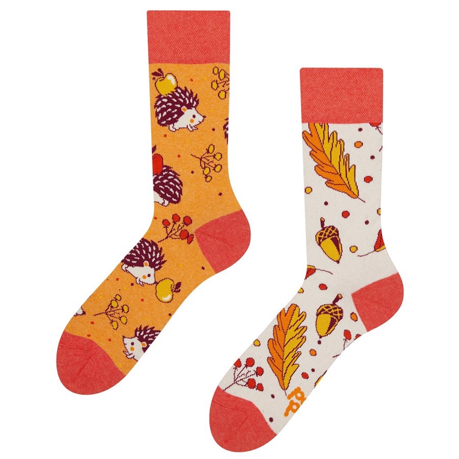 Good Mood adult socks - AUTUMN HEDGEHOG, size 39-42