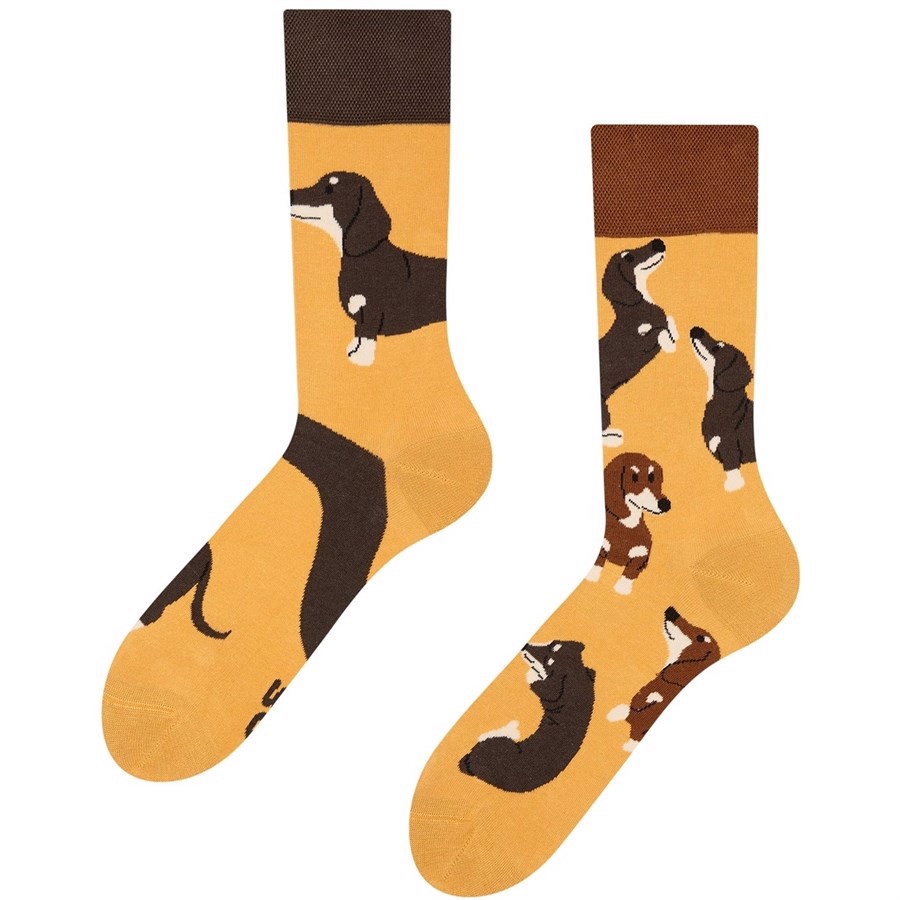 Good Mood adult socks - DACHSHUNDS, size 39-42