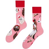 Good Mood adult socks - YORKSHIRE TERRIER
