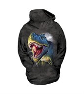 Lightning Rex child hoodie, Large