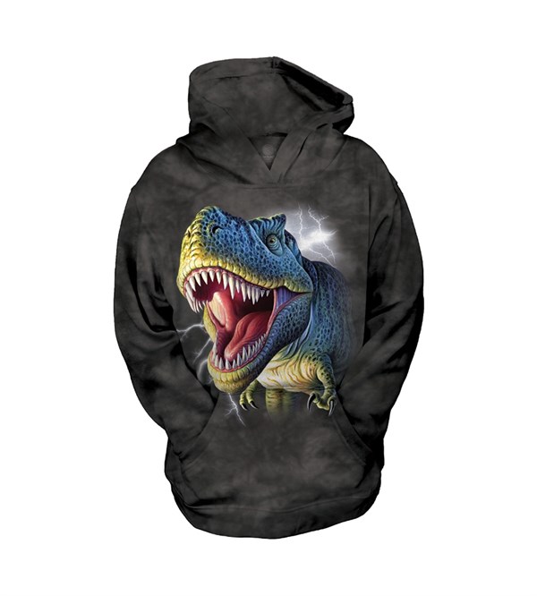 Lightning Rex child hoodie, XL