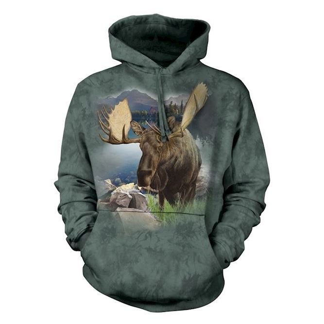 Hoodie fra The Mountain