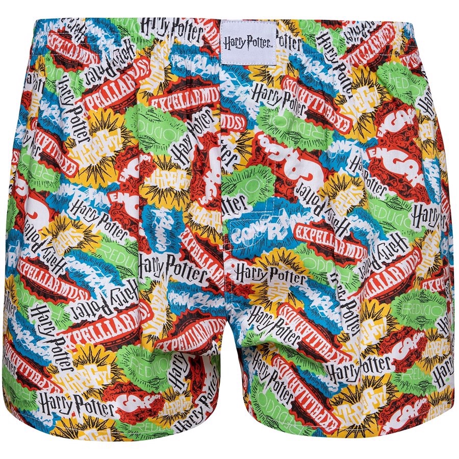 Harry Potter Mens Loose Boxers - SPELLS