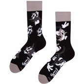 Looney Tunes adult socks - CATCH ME TOM AND JERRY