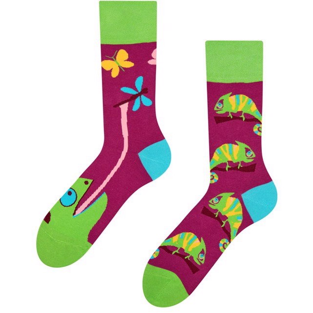 Good Mood adult socks - CHAMELEON, size 43-46