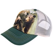 kasket med sort bjørne