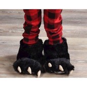 Bjørnepoter som indesko