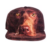 baseball kasket med brun labrador