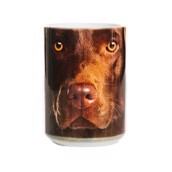kaffekop med brun labrador