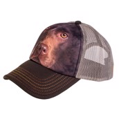 kasket med motiv af chokoladelækker brun labrador