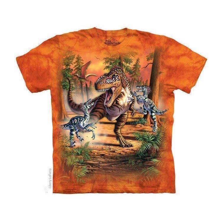 Dino Battle t-shirt, Child Small