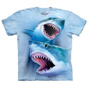 Great White Sharks t-shirt, Adult Large