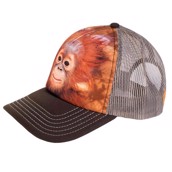 kasket med orangutan