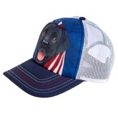 kasket med sort labrador hvalp