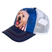 kasket med golden retriever hvalp