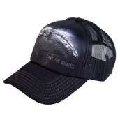 kasket med udrydningstruet hval